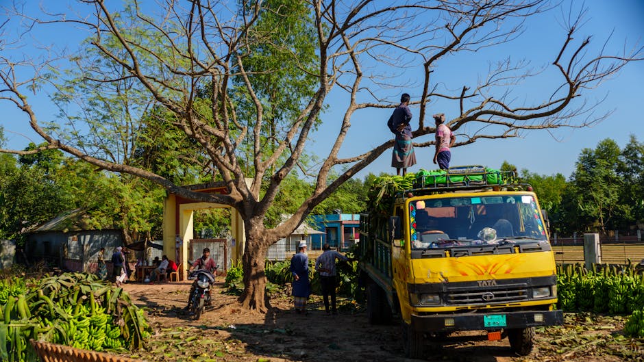 Internationaal verhuizen foto voor Hoe een internationale verhuisservice bedrijven en particulieren ontzorgt