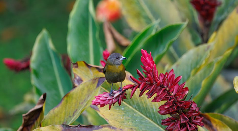 Tuin ophogen foto voor Tuin ophogen als slimme stap bij renovatie en tuinaanleg