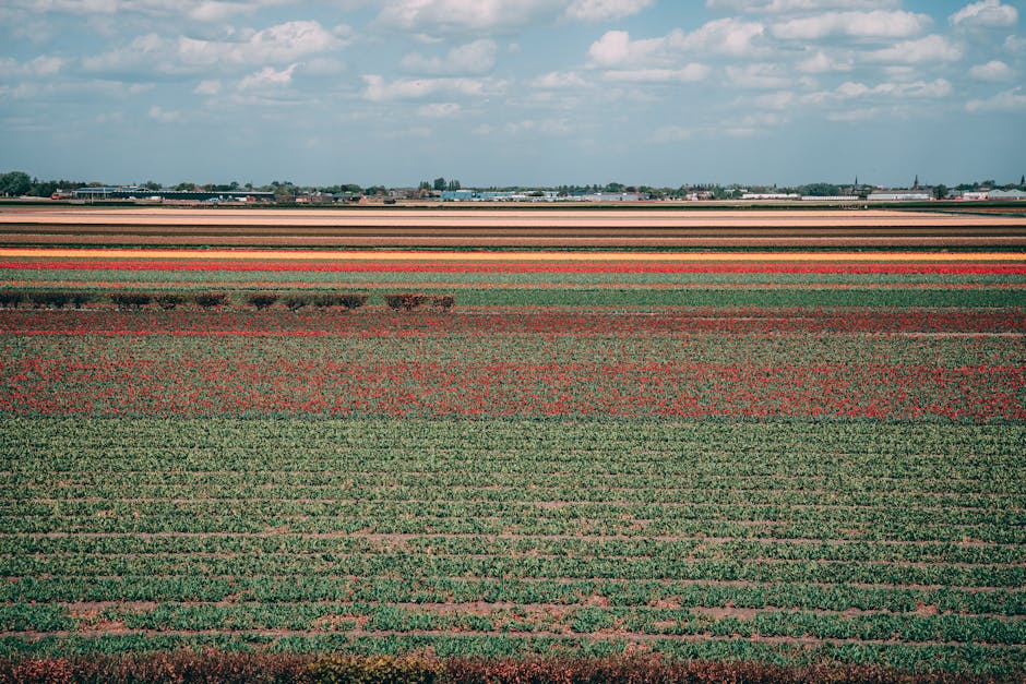 10 buitenklussen lente: zo pak je je tuin grondig aan